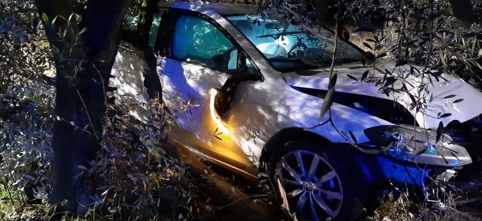 Esce di strada, trancia una recinzione e sradica un ulivo